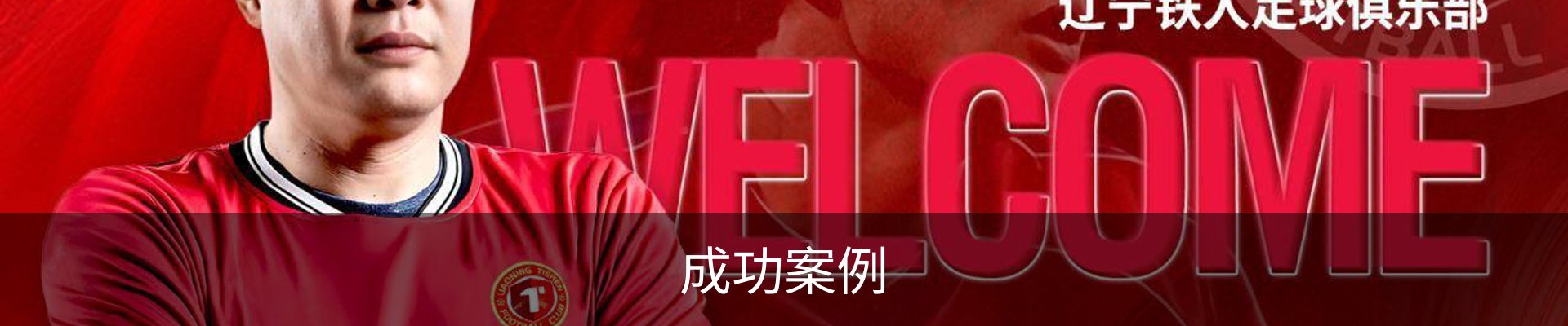 成功案例