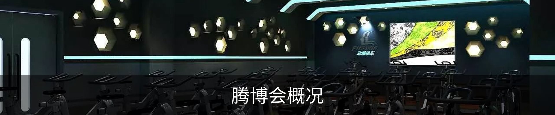 腾博会概况